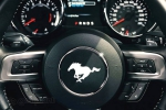 Ford Mustang Image Gallery